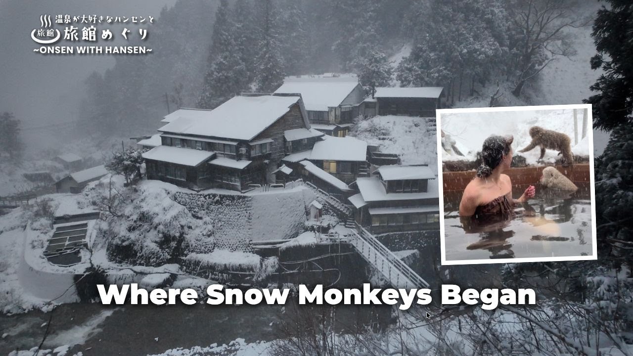 ♨️The Real Story of Japan’s Snow Monkeys (It’s Not What You Think)