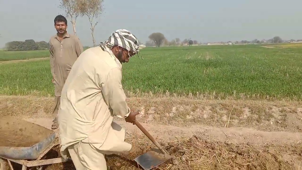 Zamini pedawar ko buland kray gober say