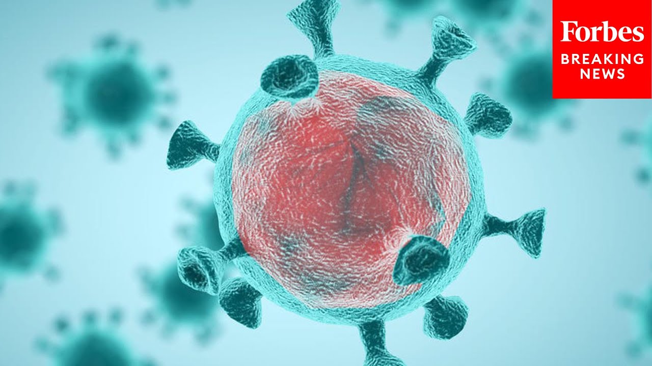 'Evidence Strongly Favors The Lab Origin': GOP-Called Medical Witness Discusses COVID-19 Genesis