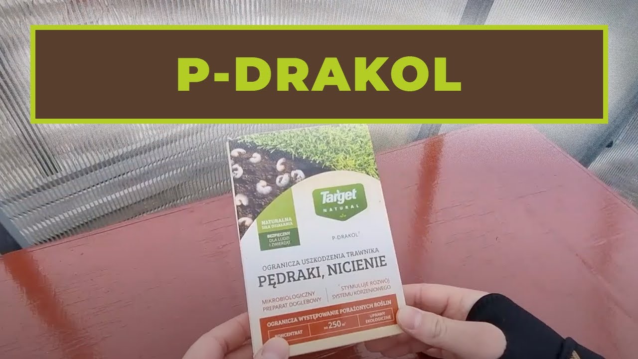 Pędraki i nicienie na trawniku? Wypróbuj ekologiczny P Drakol marki Target