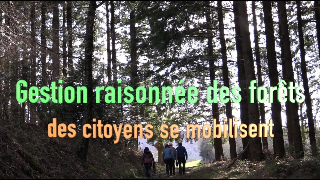 Gestion raisonnée des forêts, des citoyens se mobilisent