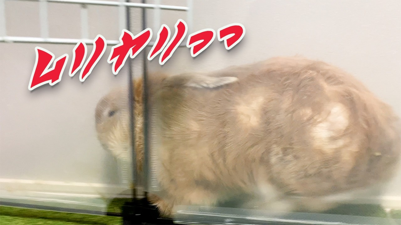 はさまる