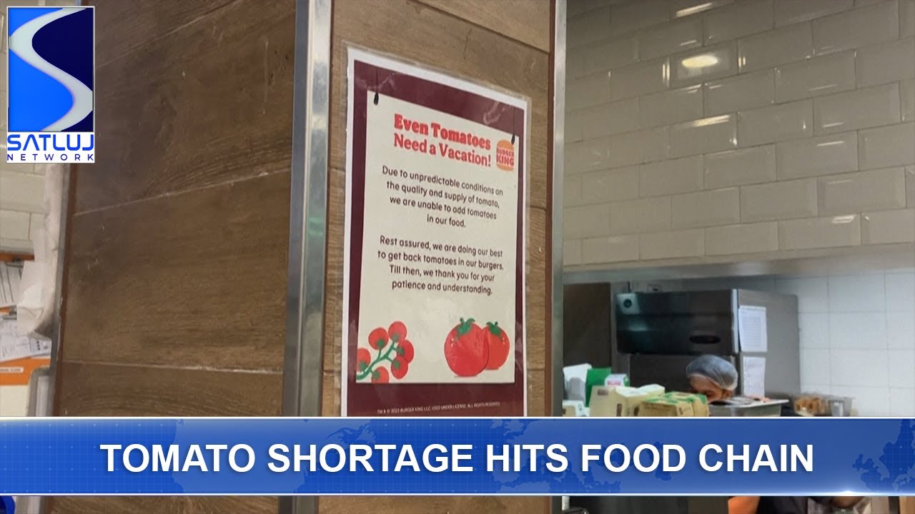 Tomato shortage hits food chains