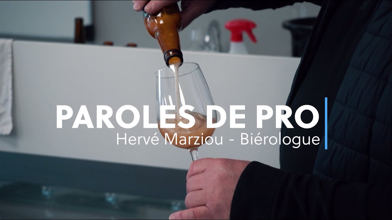 Vatel Bordeaux - Paroles de Pro - Hervé Marziou