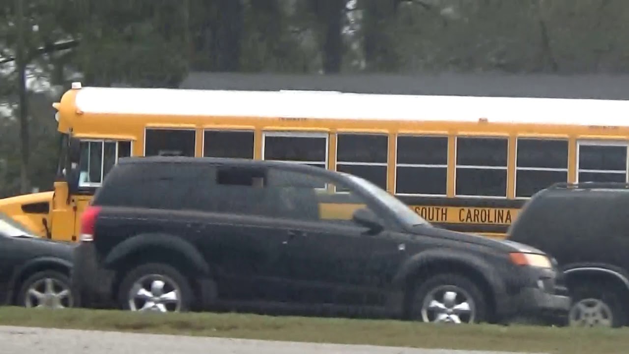 Various School Buses 3-8-19
