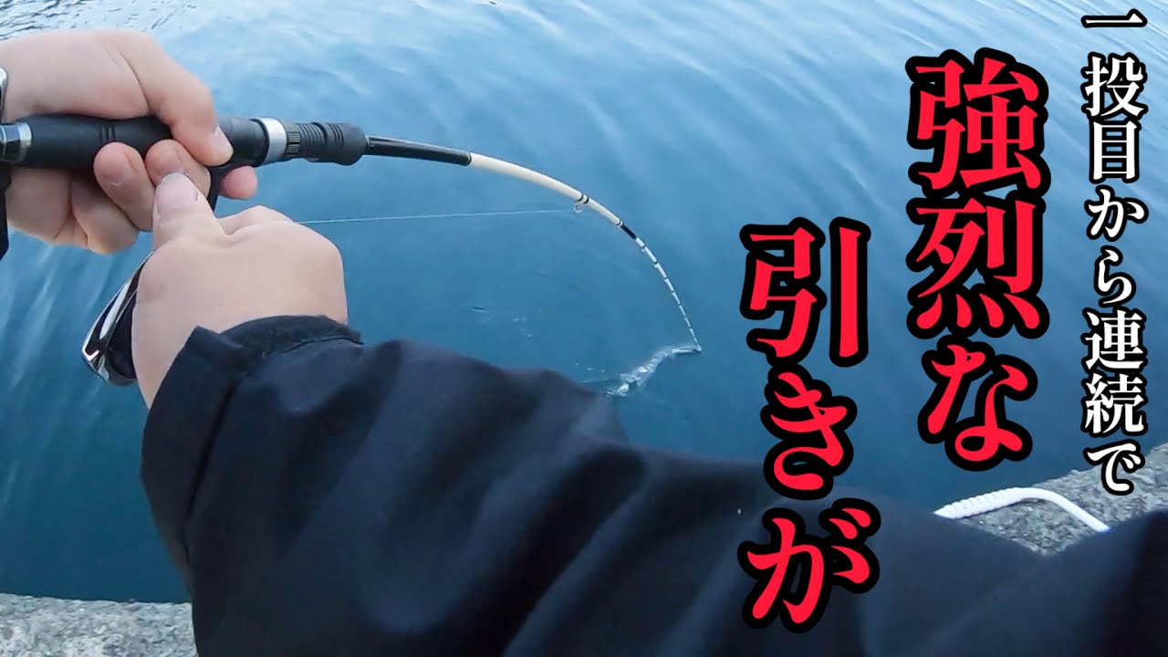 水深3mの漁港の足元に大物が潜んでいた【かぶせ釣り】