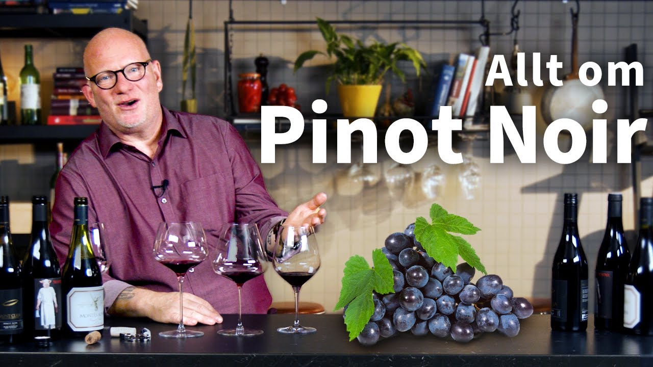 L&auml;r dig allt om Pinot Noir | Vinsmart Academy med Michel Jamais