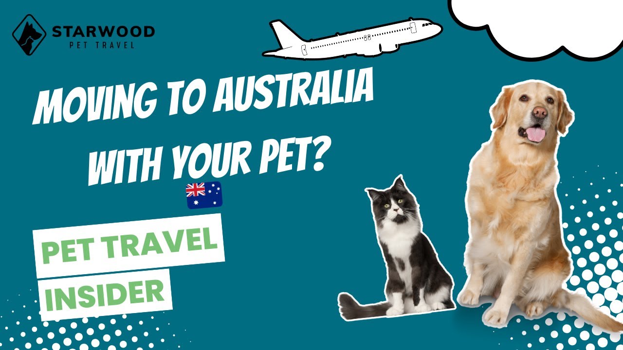 Pet Travel to Australia: Full Step-By-Step Guide (7–8 Month Timeline Explained)