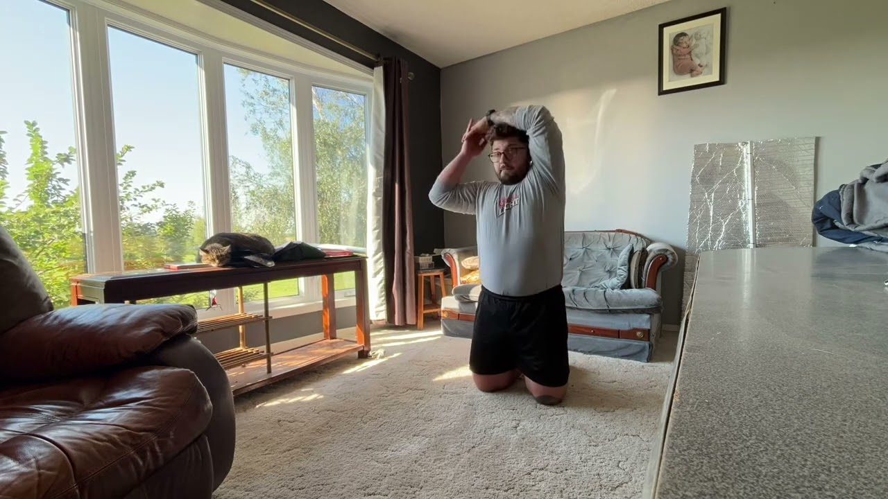 ZKML Movement Flow Progression 1