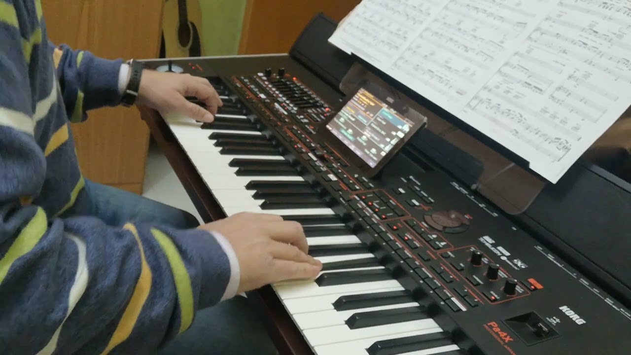 That's What Friends Are For (cover Strumentale) Korg PA4X