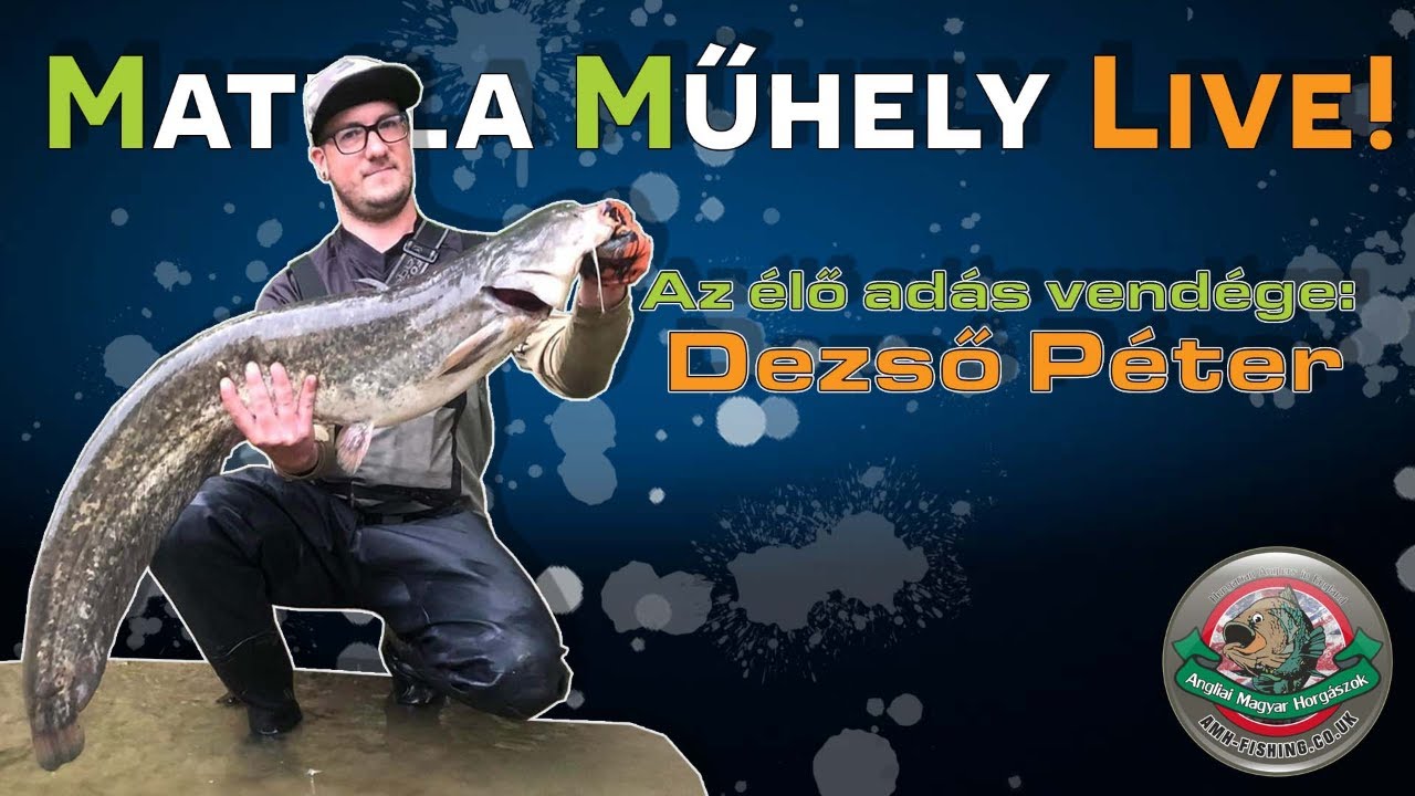 Matula Műhely Live! - Dezső Péterrel | Harcsapergertés könnyű felszereléssel