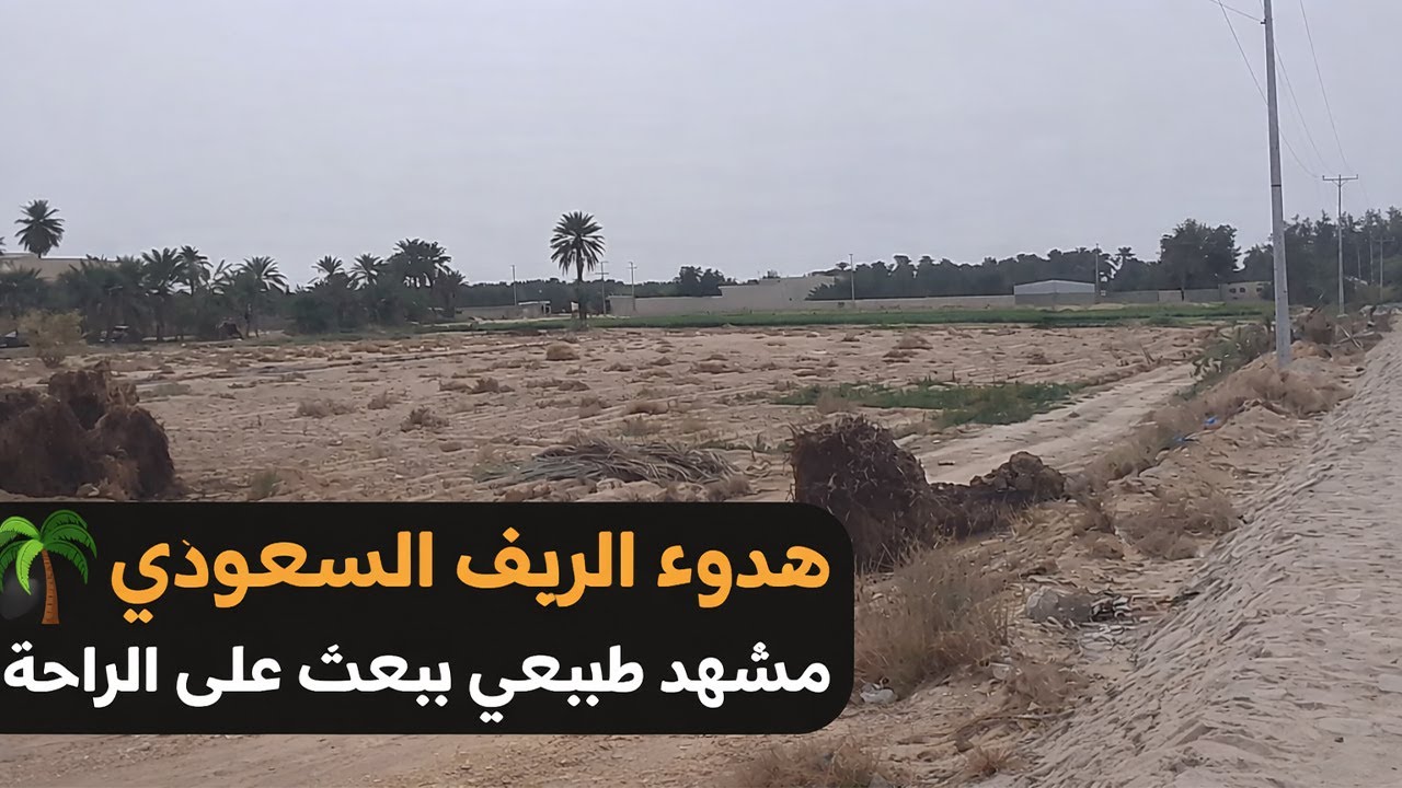 🌴 هدوء الريف السعودي | مشهد طبيعي يبعث على الراحة