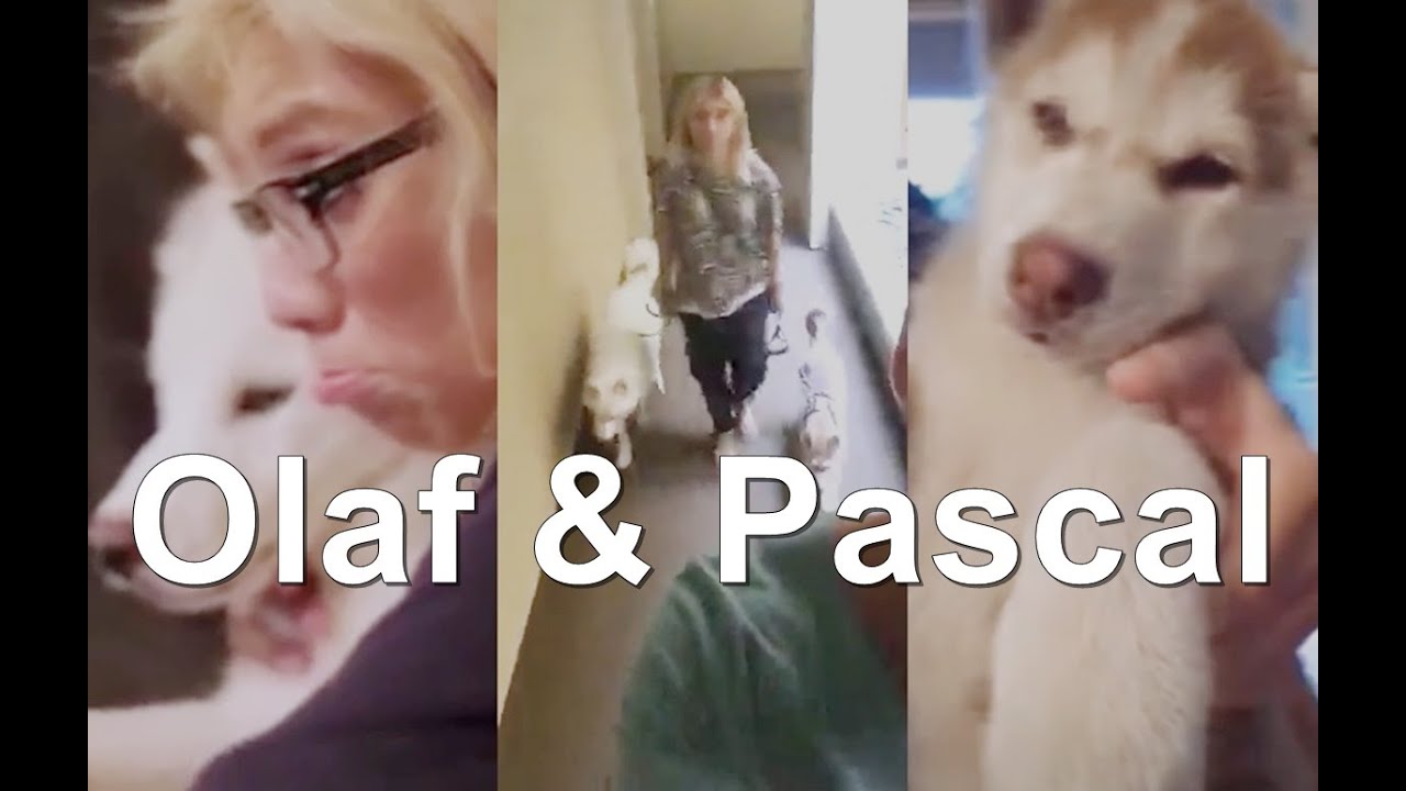 Olaf & Pascal (Kirstin Maldonado)