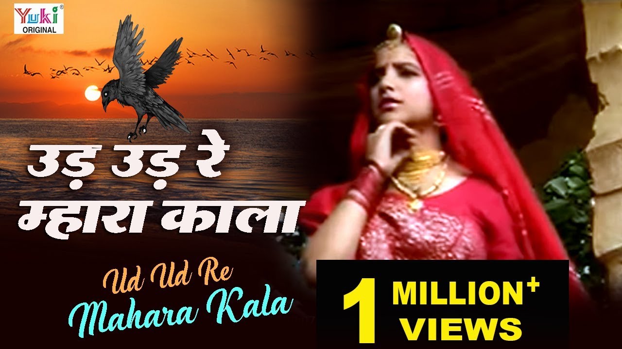 Rajasthani Song | उड़ उड़ रे म्हारा काला | Ud Ud Re Mahara Kala | Rajasthani Lokgeet | Ziiki Media
