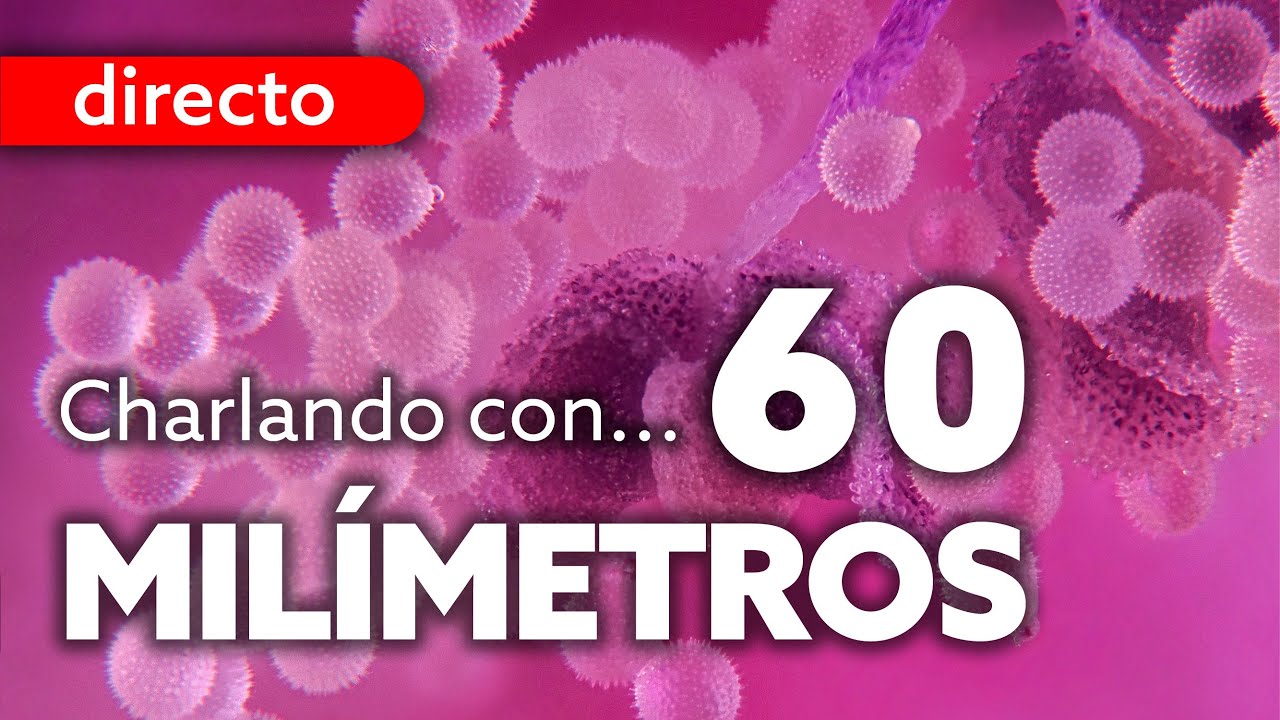 Fotografía MACRO y MACRO EXTREMO con... 60 MILÍMETROS