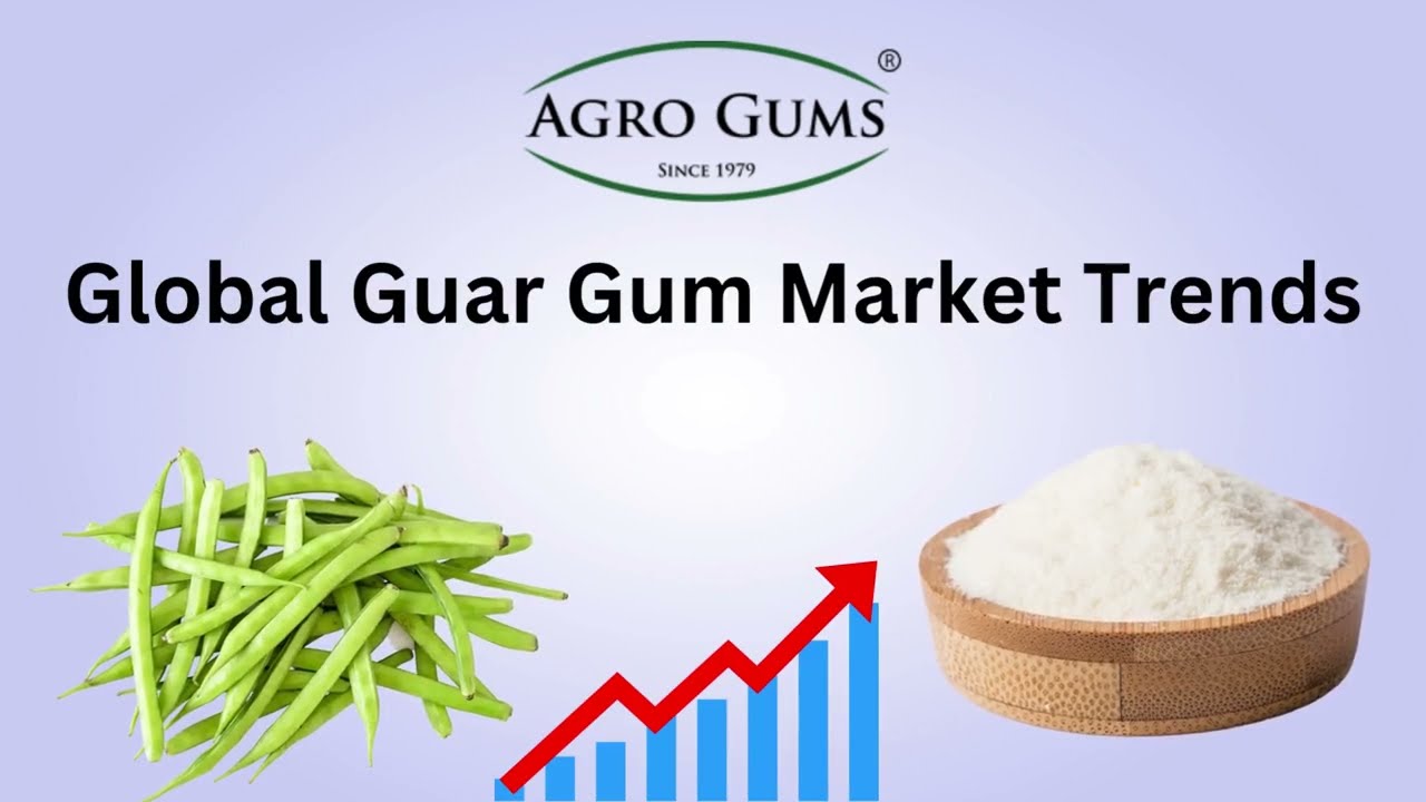 Global Guar Gum Market Trends