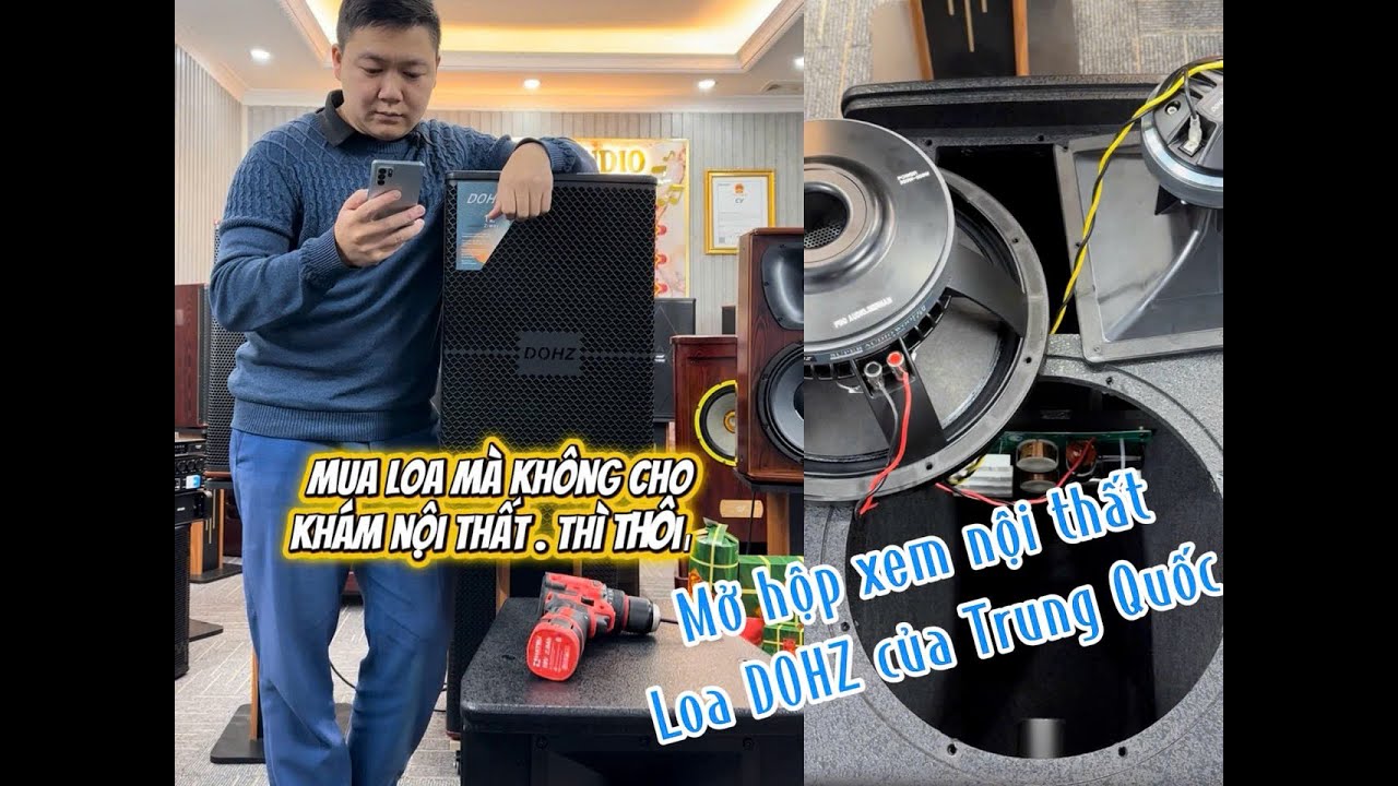 Loa Karaoke Trung Quốc có tốt không? Soi chi tiết phân tần và củ loa DOHZ.