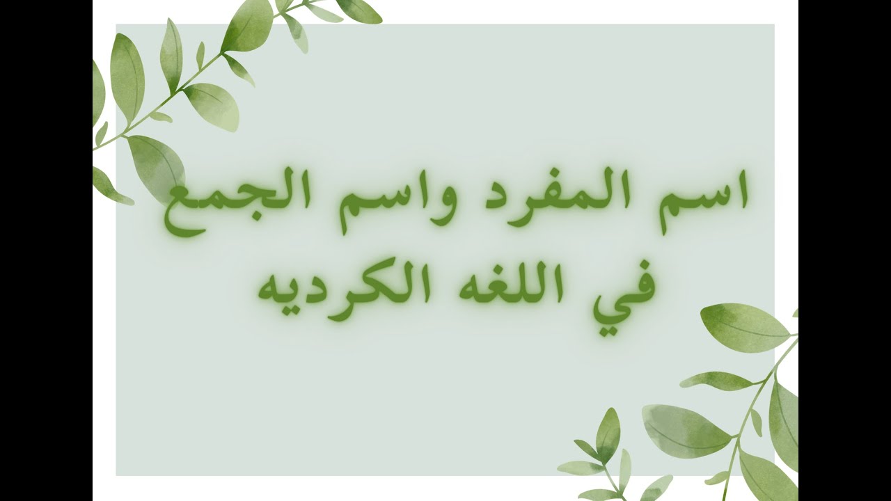 اسم المفرد واسم الجمع( ص٣٣)