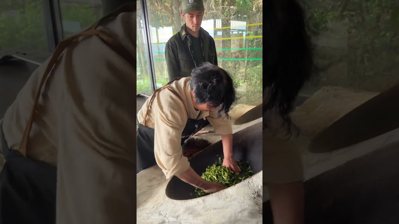 Обжарка чая! #gongfutea #чай