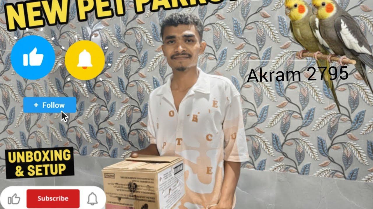 Mini zoo now vlog sikka 