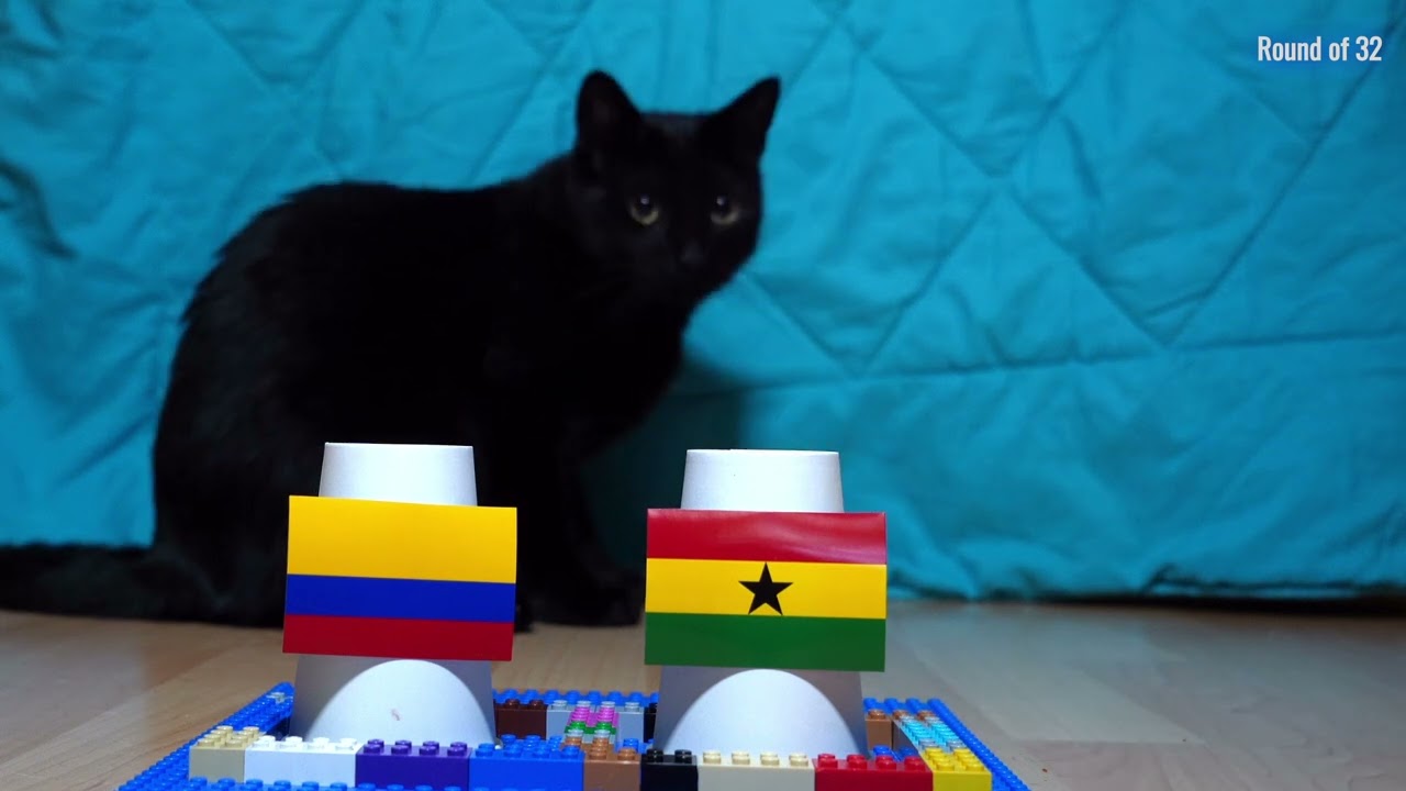 Colombia Vs Ghana - Cats World Cup 2026 Prediction