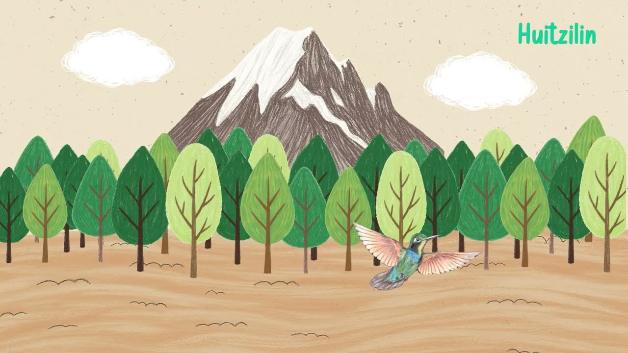 Huitzilin / Colibrí