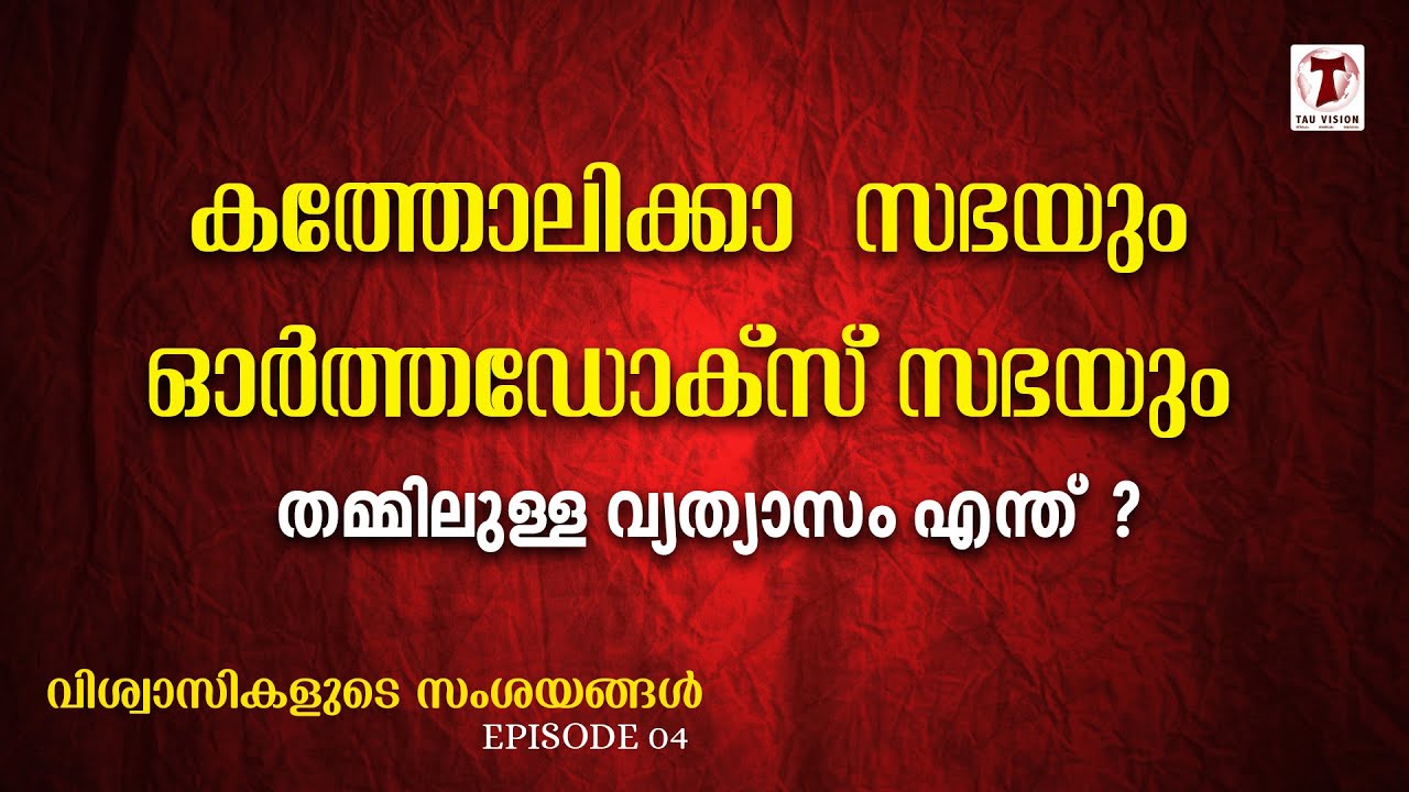 കത്തോലിക്കാ സഭയും ഓർത്തഡോക്സ് സഭയും  തമ്മിലുള്ള വ്യത്യാസം എന്ത് ? | Dr. Fr. Devamitra Neelankavil