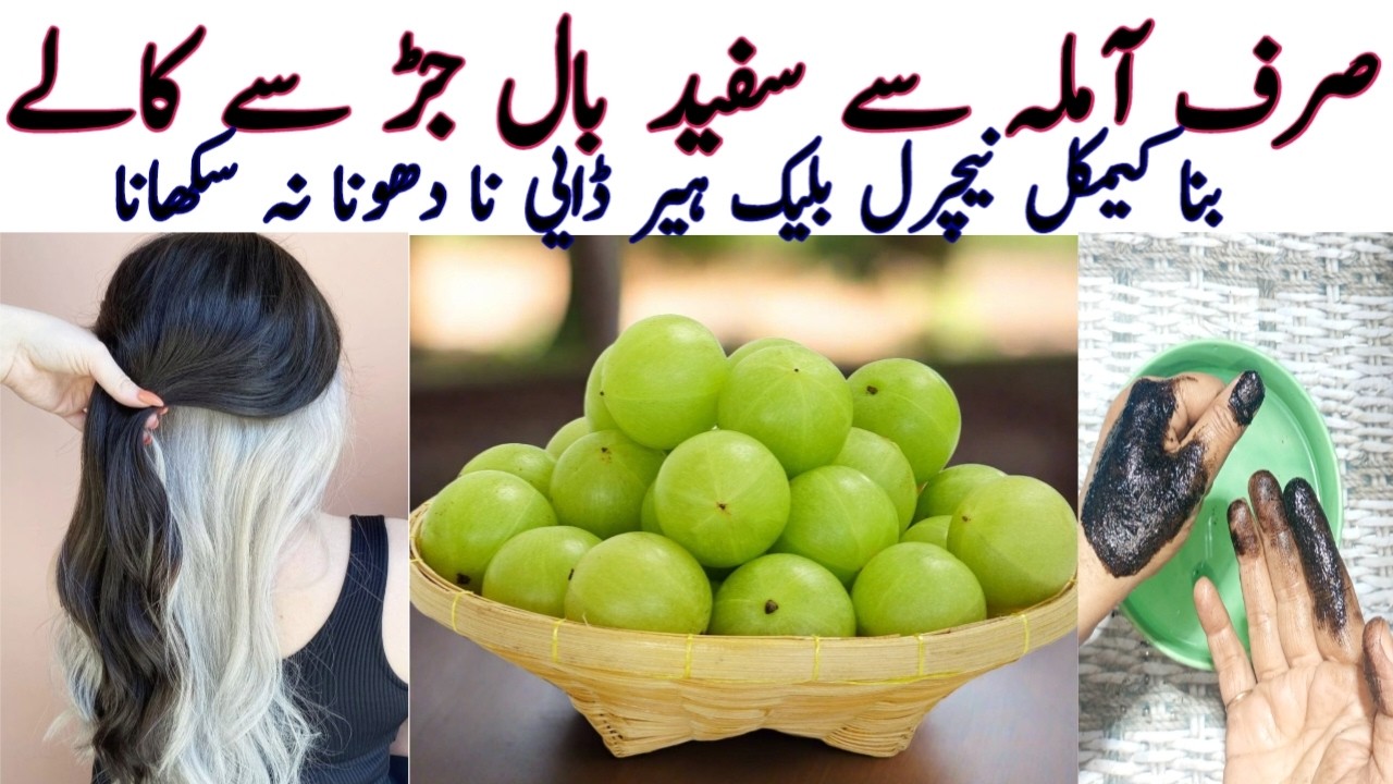 Amla Black Hair Dye Instant Result | Natural Black Hair Dye At Home | Black hair dye |