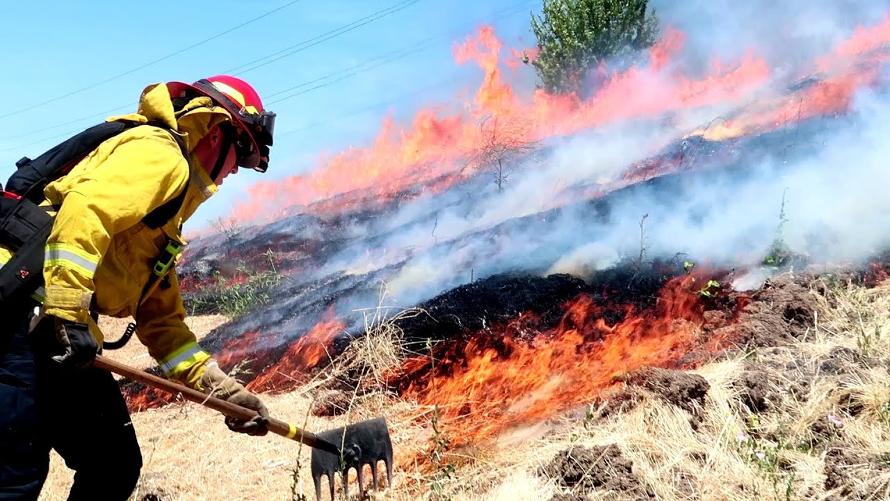 Firefighters Limit Suspicious Vegetation Fire to 1 Acre in Antioch