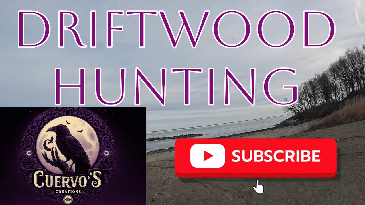 Driftwood Hunting