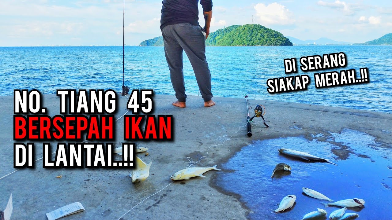 MEMANCING SOLO DI BAWAH JAMBATAN KEDUA | STRIKE PENUH TONG