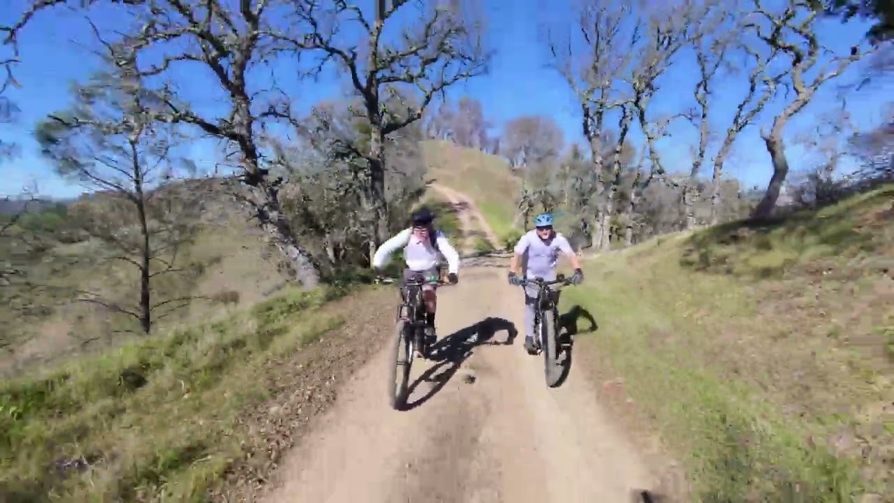 Henry Coe - Bobcats & Ridgelines
