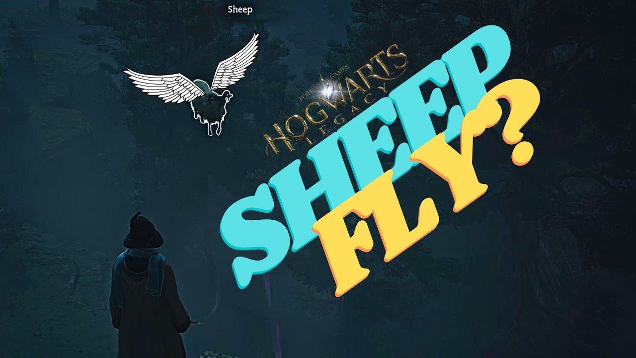 When you see sheep in Hogwarts Legacy