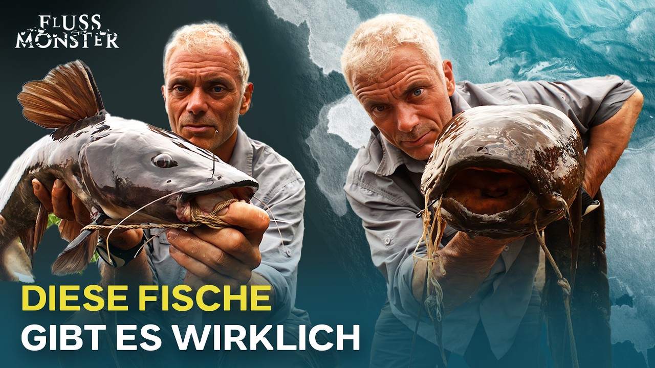 Die außergewöhnlichsten Fische im Wasser | Fluss Monster