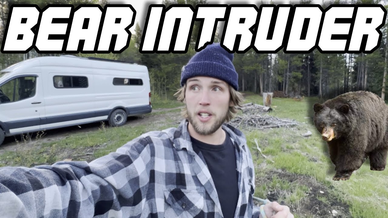 HUGE BEAR Tries Getting Into My Van... Solo Van Life