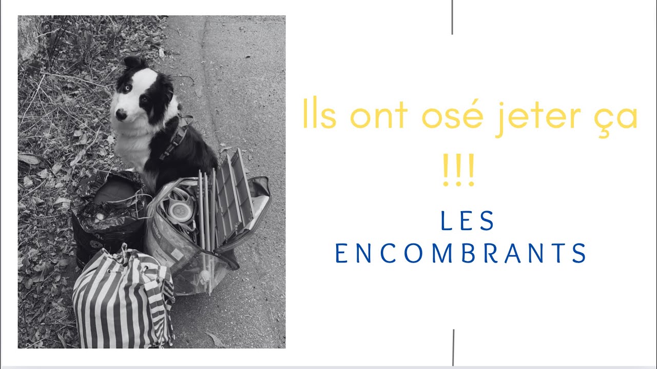 Les encombrants, j'ai fait des trouvailles !