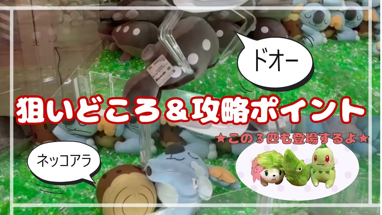 【６選】ネッコアラ・ドオー・トランセル・チコリータを確率無視でGET！！　#ポケットモンスター #ポケモン #pokemon #ぬいぐるみ #クレーンゲーム