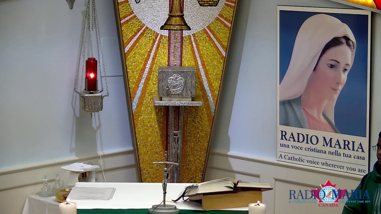 Catholic Holy Mass (ENG) -  Thursday January 29, 2026.
