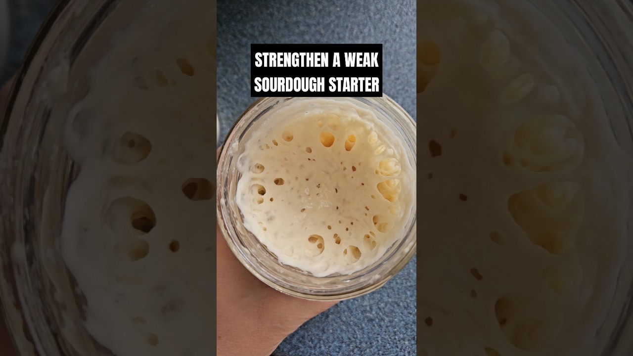 Strengthen a Weak Sourdough Starter #sourdoughstarter #shorts