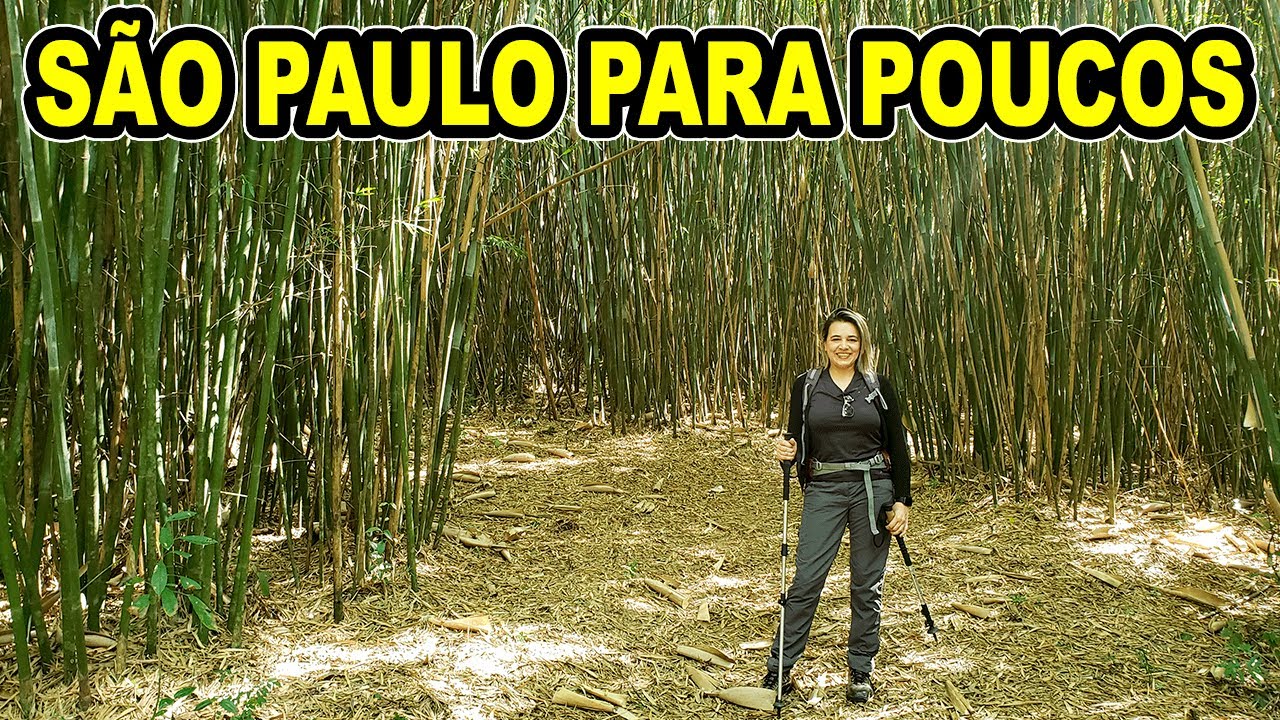 NÚCLEO CABUÇU GUARULHOS | SERRA DA CANTAREIRA SÃO PAULO