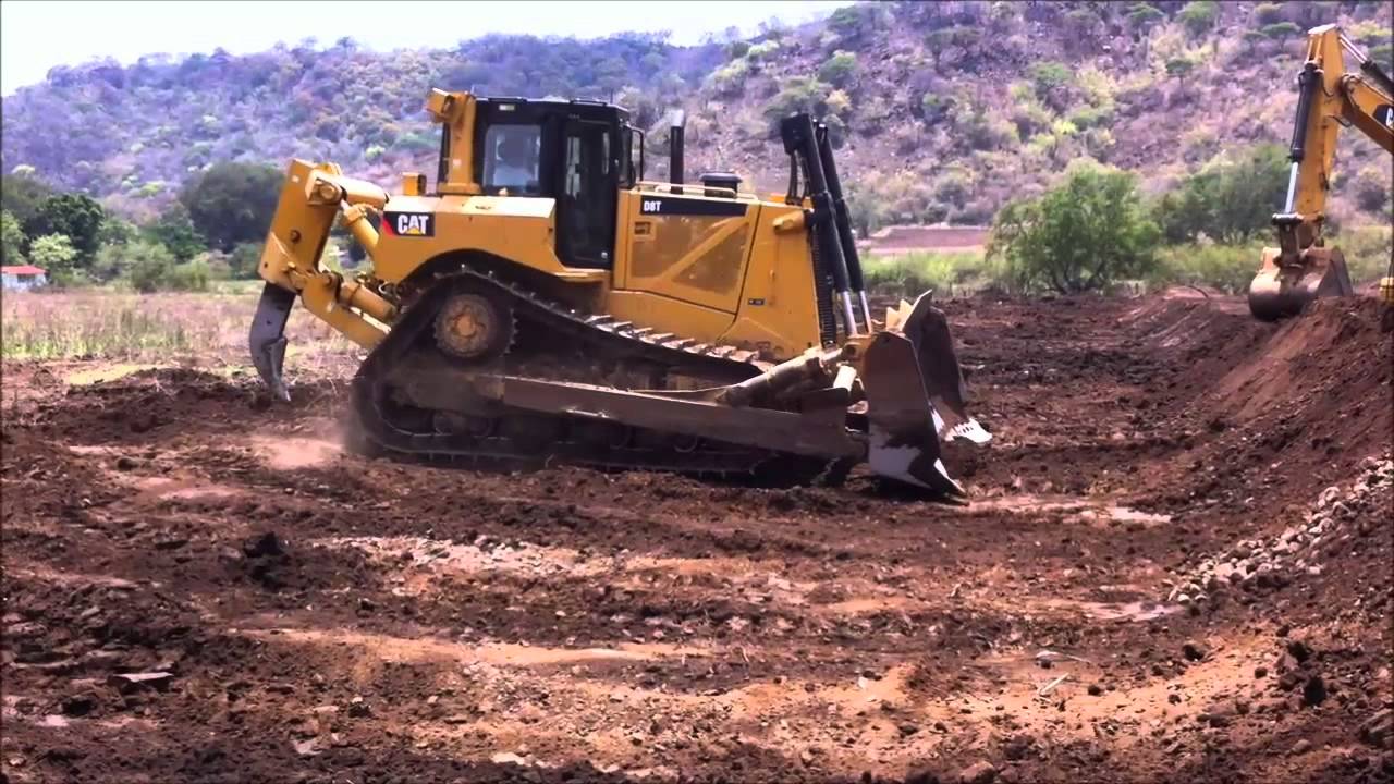 Camellones para sembrar  Plantas de Aguacate