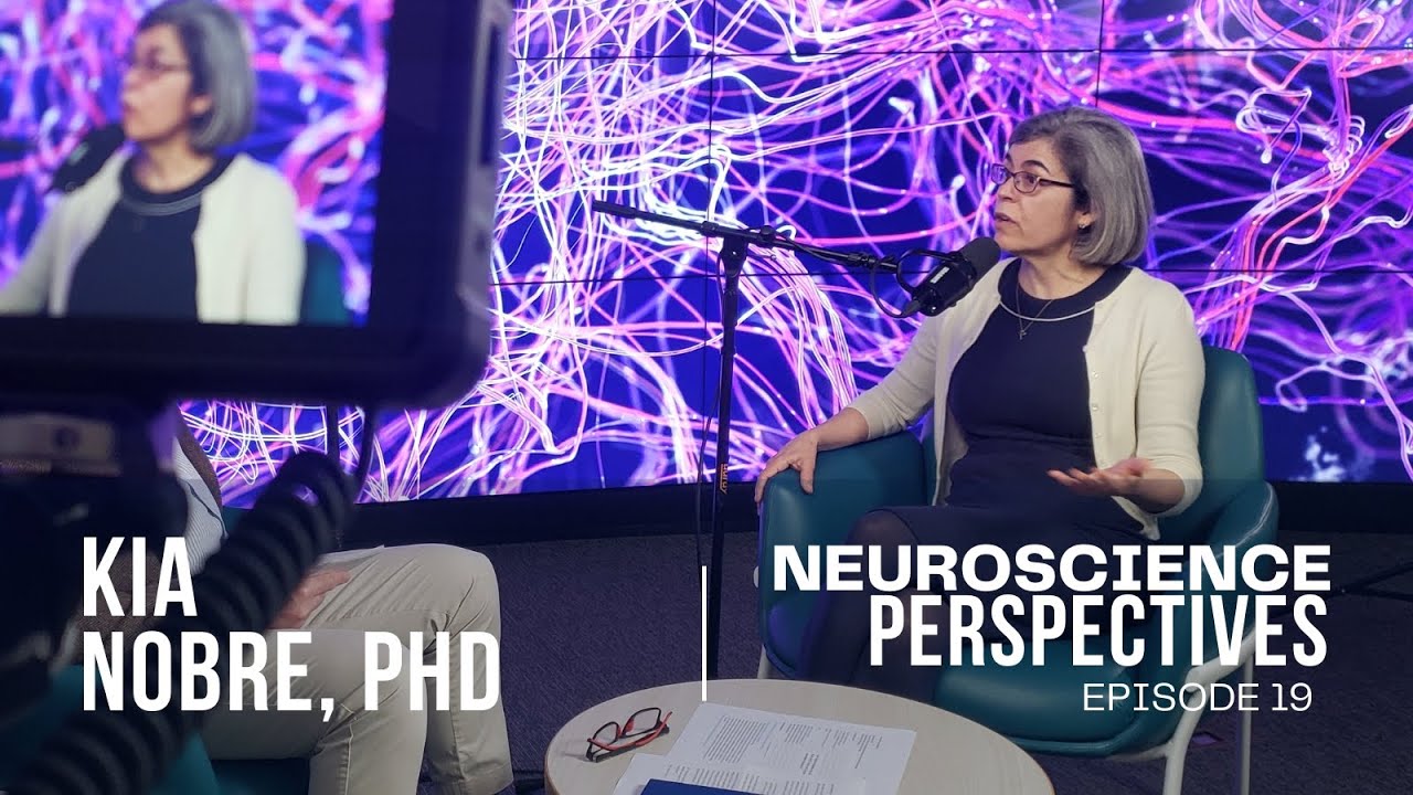 How are the brain systems that support adaptive human cognition and behavior organized?