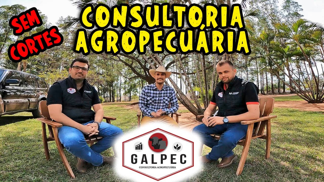 LUCRATIVIDADE NA FAZENDA - BATE PAPO COMPLETO COM GALPEC CONSULTORIA AGROPECUÁRIA & JEITO DU MATO