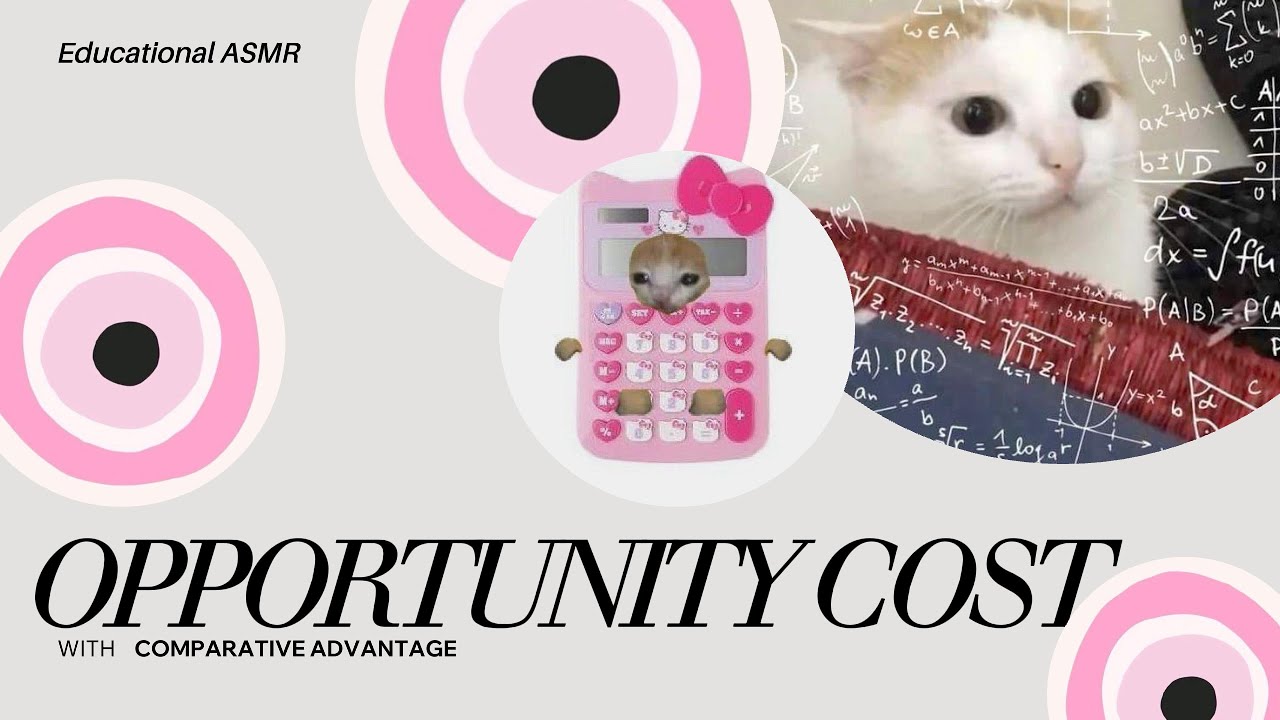 Every Choice Has a Hidden Cost 💸 | Opportunity Cost & Comparative Advantage (with ASMR)