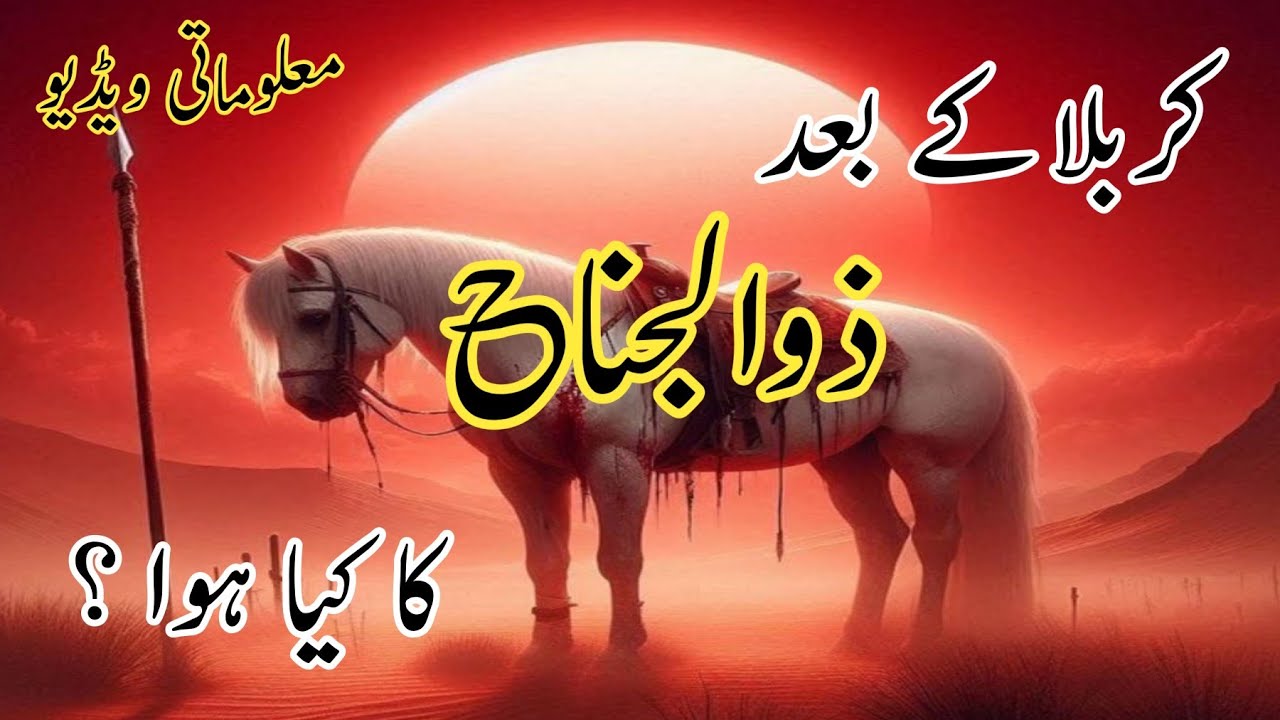 Zuljina ka Kiya huva | ذولجناح کدھر گئی ؟