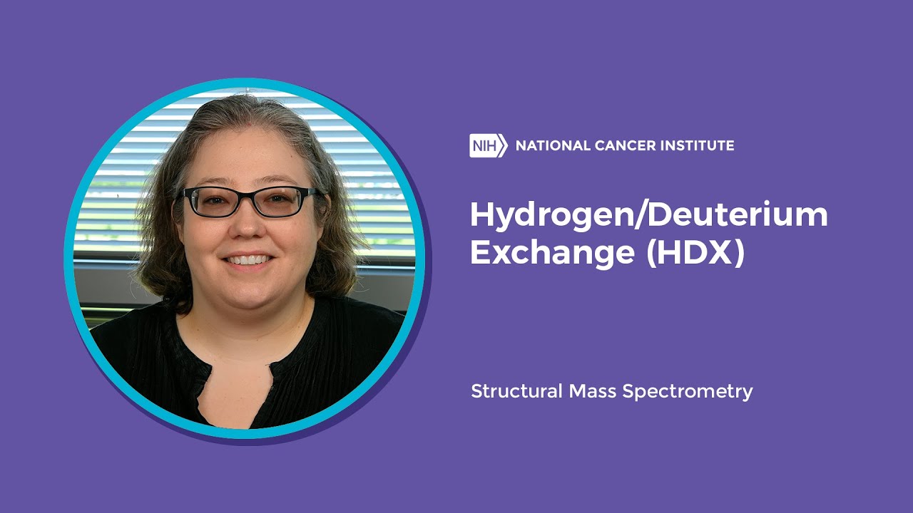 Hydrogen/Deuterium Exchange (HDX): Structural Mass Spectrometry