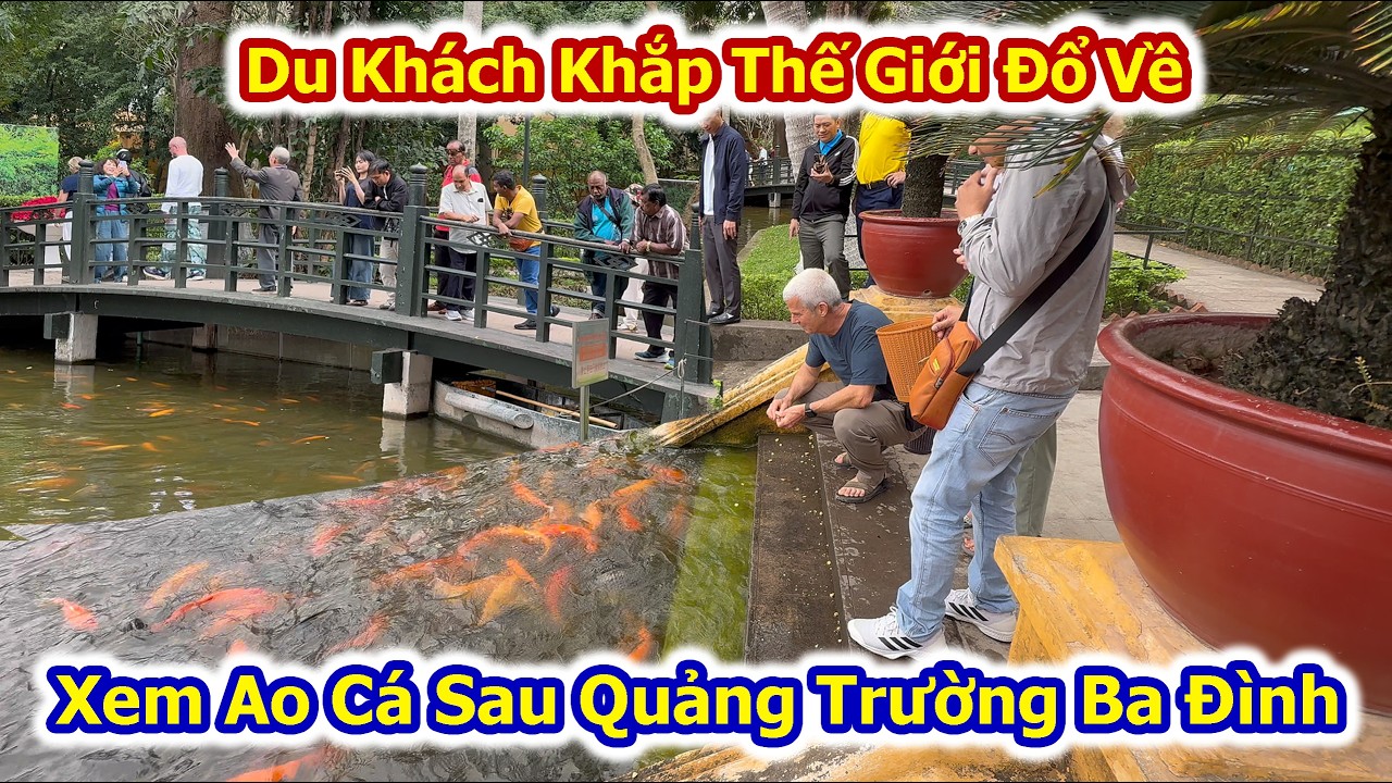 Du Khách Khắp Thế Giới Đổ Về Xem Ao Cá Sau Quảng Trường Ba Đình.