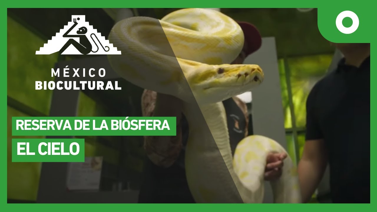México biocultural - Reserva de la biósfera El Cielo