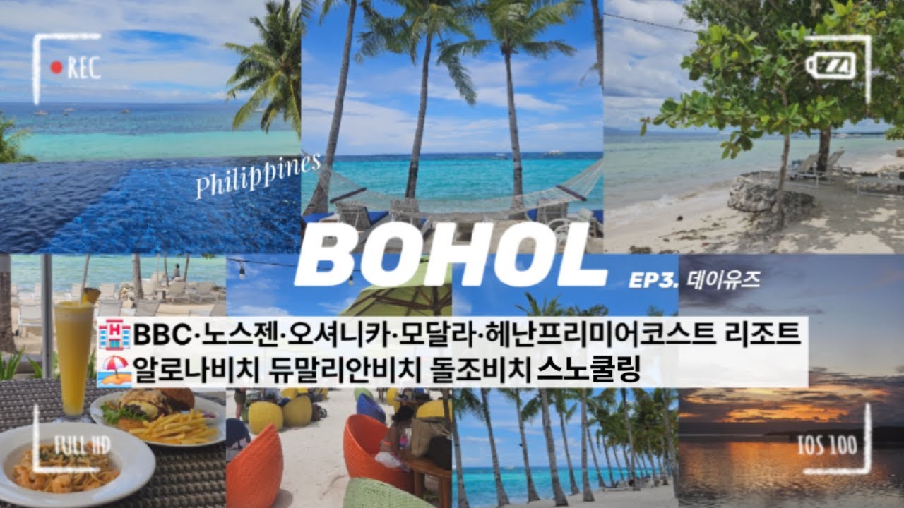 필리핀 보홀 자유여행🏨 헤난, 모달라, 오셔니카(사우스팜), 노스젠, bbc 리조트데이유즈 스노쿨링 방법공개! 총정리!
