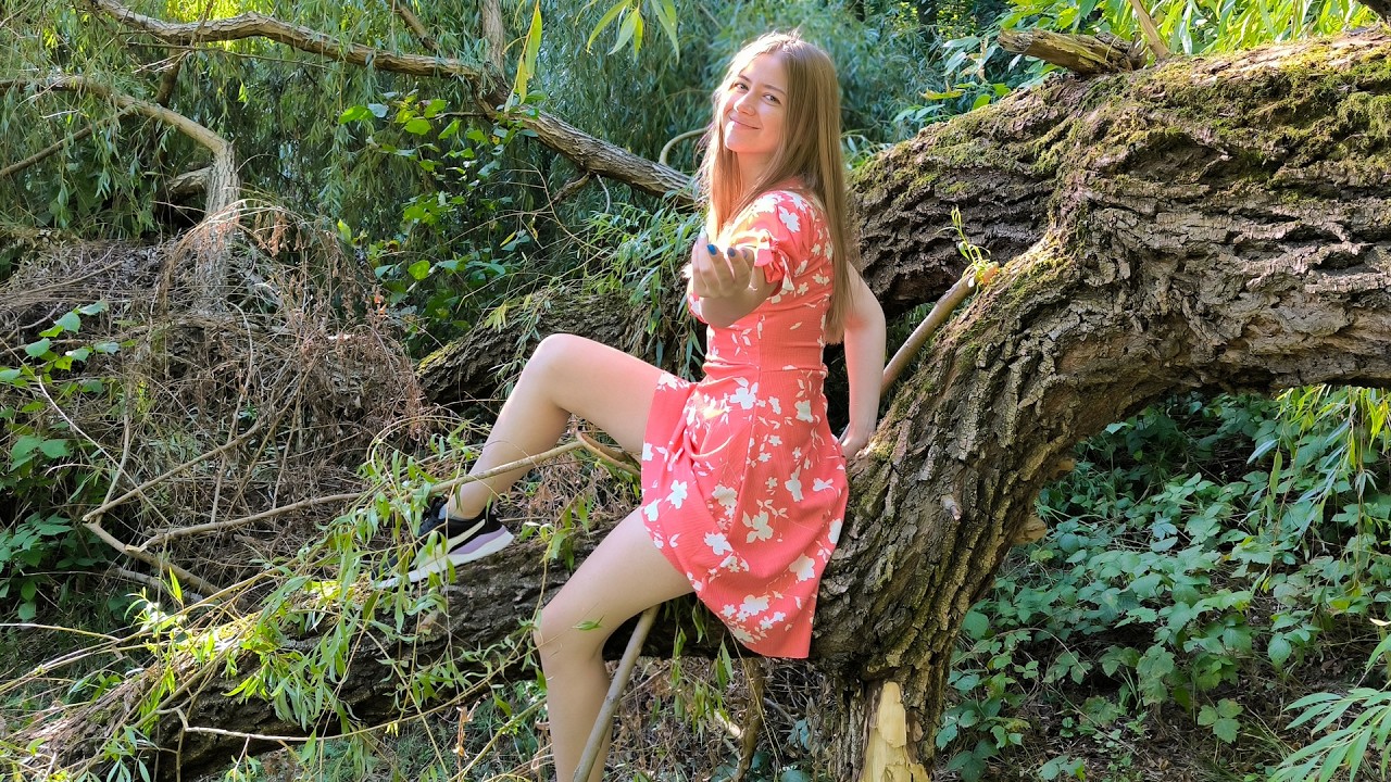 Peaceful Walk Through the Forest with Nika | Stunning Scenery